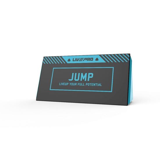 Picture of Lateral Endurance Hurdle