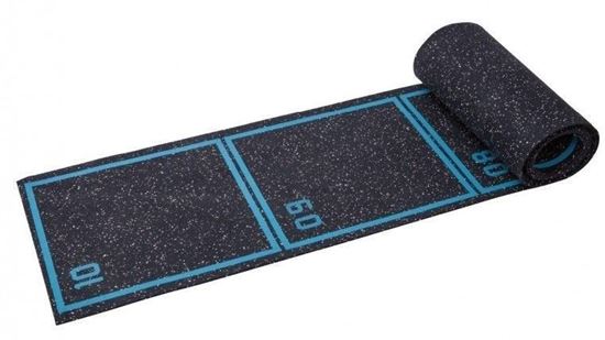 Picture of Roll-Out Agility Ladder
