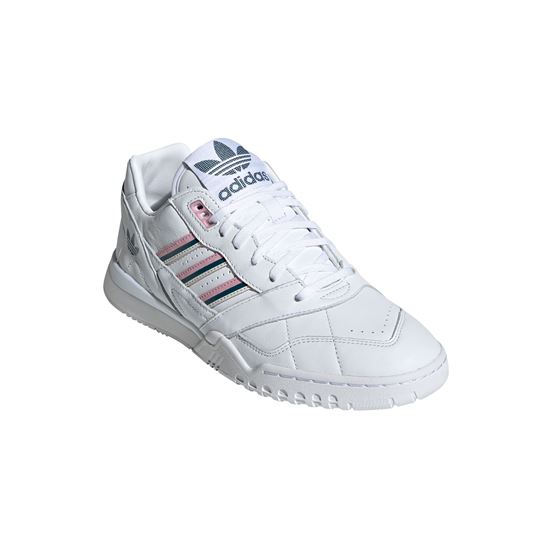 Picture of A.R. Trainer W