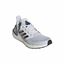 Picture of Ultraboost 20 W