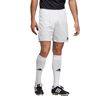 Picture of Parma 16 Shorts