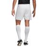 Picture of Parma 16 Shorts