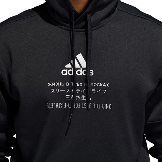 Picture of Trn Ti Hoodie
