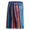 Picture of Ya Aop Shorts