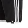 Picture of Yb 3S Shorts