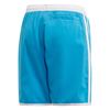 Picture of Yb 3S Shorts