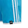 Picture of Yb 3S Shorts