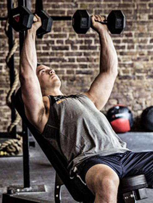 Picture for category Weights  Training Equipment