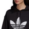 Picture of Trf Hoodie