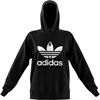 Picture of Trf Hoodie