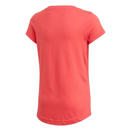 Picture of Jg Aac Gfx Tee
