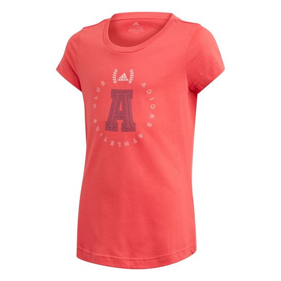 Picture of Jg Aac Gfx Tee