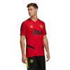 Picture of Mufc Tr Jsy