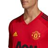 Picture of Mufc Tr Jsy