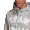 Picture of M Vrct Hoodie