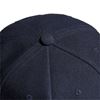 Picture of Snapba Logo Cap