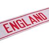 Picture of Cf Scarf Eng
