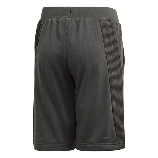 Picture of Yb Tr Kn Short