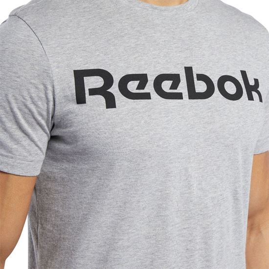 Picture of Gs Reebok Linear Read Tee