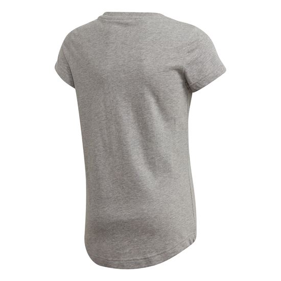 Picture of Jg Aac Gfx Tee