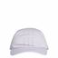 Picture of Run Perf S Cap