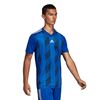 Picture of Striped 19 Jersey
