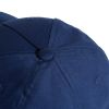 Picture of Daily Cap