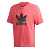 Picture of T Shirt Logo