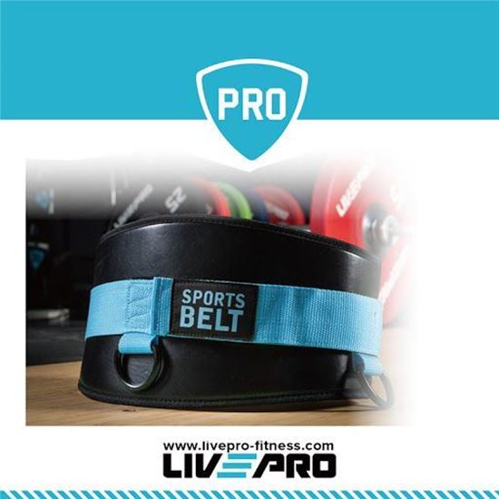 Picture of Dip Belt