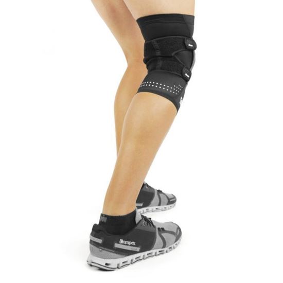 Picture of Sp15  Web Tech Patella