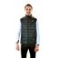 Picture of Down Vest M