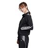 Picture of Track Top