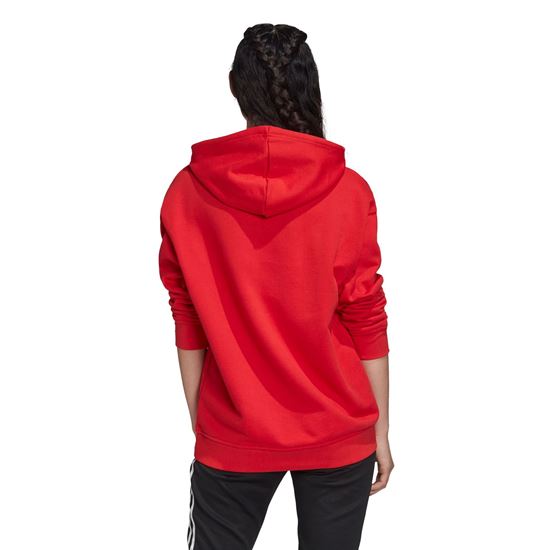 Picture of Trf Hoodie