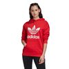Picture of Trf Hoodie