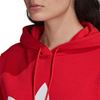 Picture of Trf Hoodie