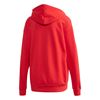 Picture of Trf Hoodie