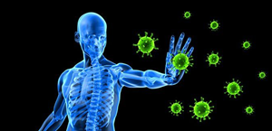How to Boost Your Immune System