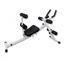 Picture of Dual Abdominal Bench