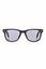 Picture of Repel Sunglasses