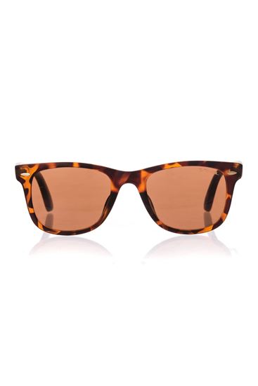 Picture of Repel Sunglasses