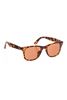 Picture of Repel Sunglasses