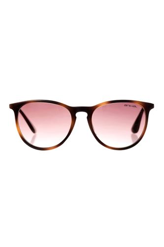 Picture of Spotlight Sunglasses