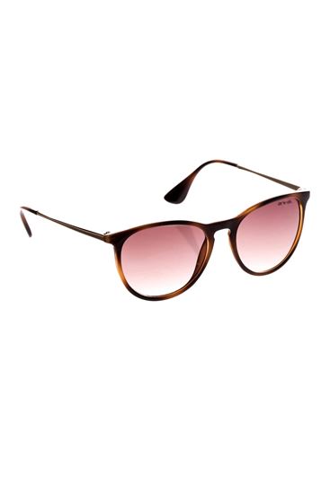Picture of Spotlight Sunglasses