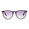 Picture of Spotlight Sunglasses