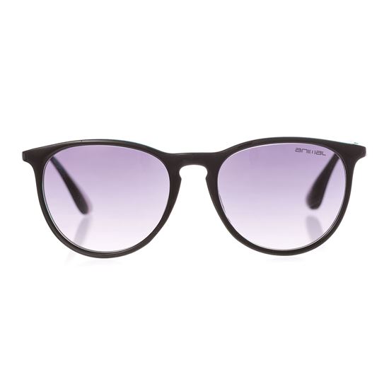 Picture of Spotlight Sunglasses