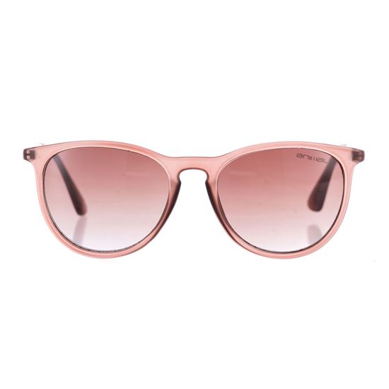 Picture of Spotlight Sunglasses