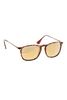Picture of Ignite Sunglasses