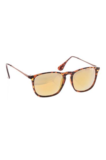 Picture of Ignite Sunglasses