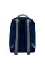 Picture of Cayo Backpack