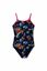 Picture of Hanalei Swimsuit